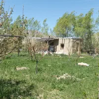 چاه کن