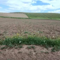 زمین زراعی