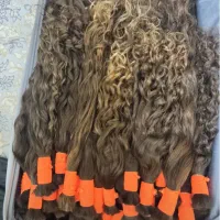 خریدارمو