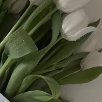 ادمین اینستاگرام هستم