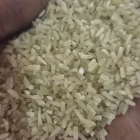 سرلاشه دانه بلندپاکستانی