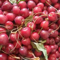 گیلاس