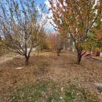 فروش-زمین-تجاری-مسکونی