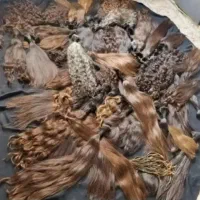 مو سر بر میدارم با قیمتی واقعی و نقدی و شگفت انگیز
