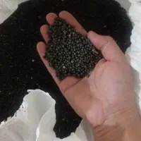 فروش ماش به صورت عمده از 40 کیلو تا 400 کیلو