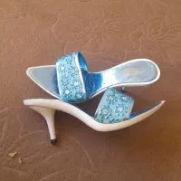 دمپایی مجلسی