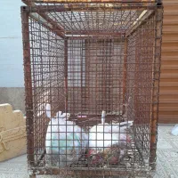سطل زباله