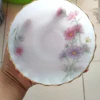 آرکوپال تایلندی