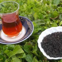چای ایرانی