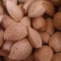 بادام نیمه کاغذی (درجه ۱)