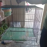 قفس پرنده