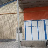 سفیده زرده پاستوریزه تخم مرغ