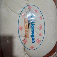 بالشت بارداری u
