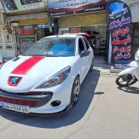 مستر دودی ، شیشه دودی تخصصی ۲ سال ضمانت