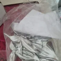 دیوار کوب طرح پروانه