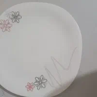 پلوخوری و دیس آرکوپال