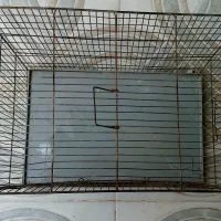 فروش قفس پرنده
