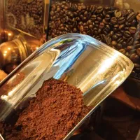 قهوه ترک تازه‌رست در رشت  عطر اصالت، کف طلایی