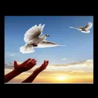 آینه بینی ودعا دعا دعا صددرصد نتیجه