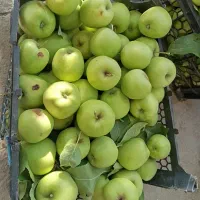 فروش سیب سبز تاز