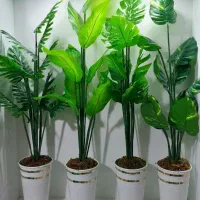 درختچه