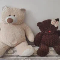 دو تا خرس بزرگ/ شاسخین/ ولنتاین