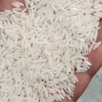 برنج هاشمی دانه دراز