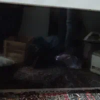 تلویزیون