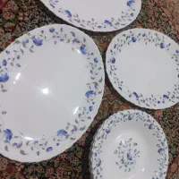 سرویس آرکوپال گل آبی امارات ودیس تک دونه۵۰۰