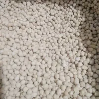 نخود محلی درجه یک کوار