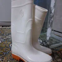 چکمه|کیف، کفش، کمربند|دورود, |دیوار
