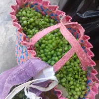 فروش فوری