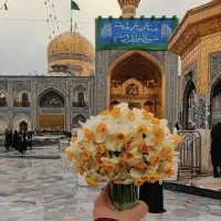 تور ویژه مشهد مقدس-/