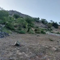 880-متر-زمین-دوهزار-انتهای-شهرک-امیر