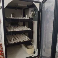 فروش،دستگاه جوجه کشی تمام اتو ماتیک