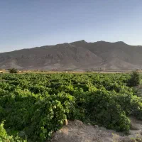 فروش زمین 33 هکتاری