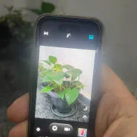 گوشی مینی آیفون ۱۶ پرو