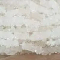 نبات شاخه یک کارتون5 کیلوی