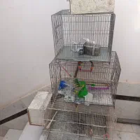 قفس پرنده با لونه و آبخوری و دونخوری