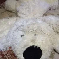 عروسک سگ خوابیده