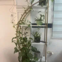 استند گل ، گل و گلدان