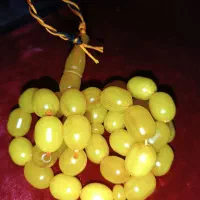 انواع سندلوس