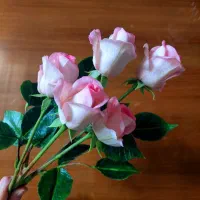 گل منعطف و فومی