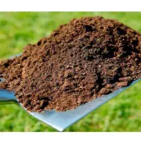 خاک باغچه شاهدیه سرزمین باغی.کشاورز روفگاردن‌گلدان