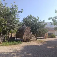 اجاره-باغ-رستوران-با-سابقه