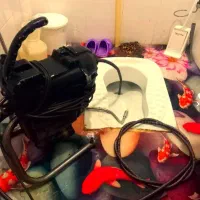 تخلیه چاه لوله بازکنی24ساعته100٪تضمینی فوری ارازان