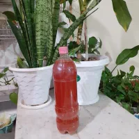آبغوره