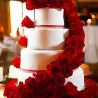 تشریفاتمجالس آرسیس تالارموزیک فیلمبردارعروسی تولد