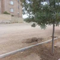 فروش ۴۰مترزمین تجاری