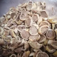 فروش انجیر تازه